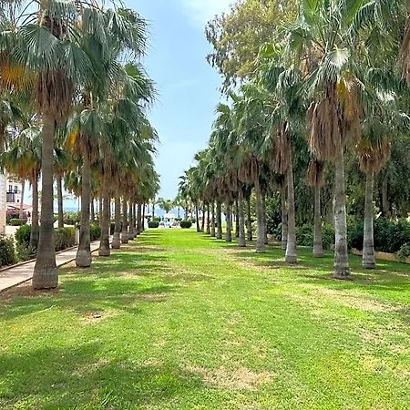Nelia Sea Breeze 4* Agia Napa